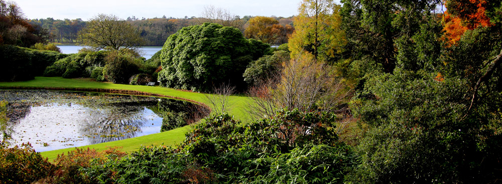 round_pond4