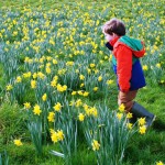 Spring Bulbs Guided Walk