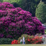 Summer guided walk