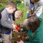 Drilling holes to make a minibeast hotel