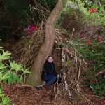 Den Building