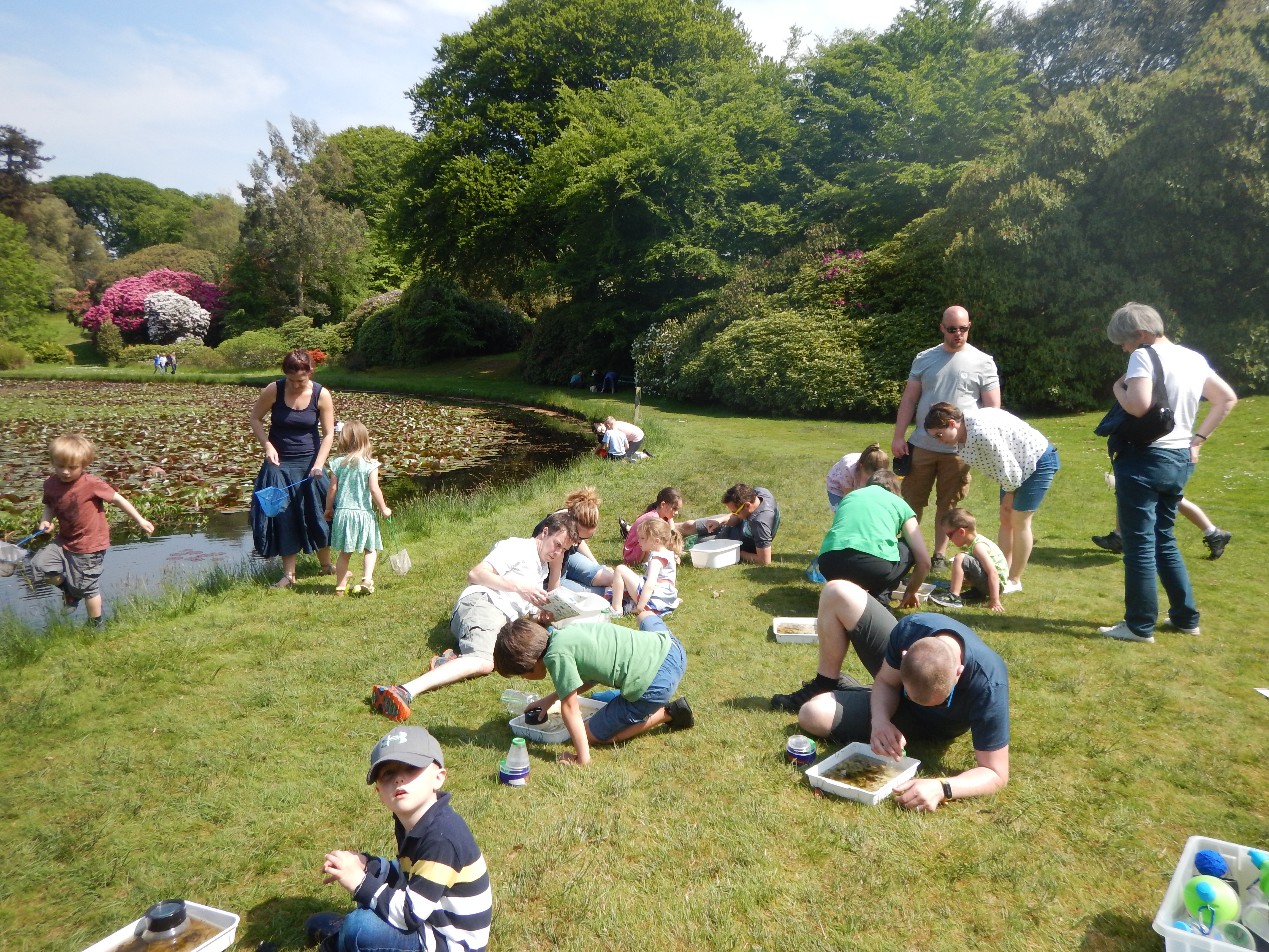 Looking at the creatures in the pond