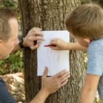 nature prints bark rubbing